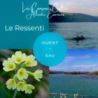 Composé Celte « OUEST - EAU : LE RESSENTI »