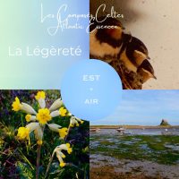 Composé Celte "EST - AIR : LA LEGERETE"