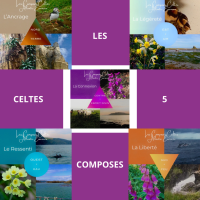 La Collection des 5 COMPOSES CELTES