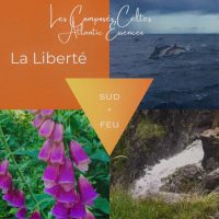 Composé Celte "SUD - FEU : LA LIBERTE"